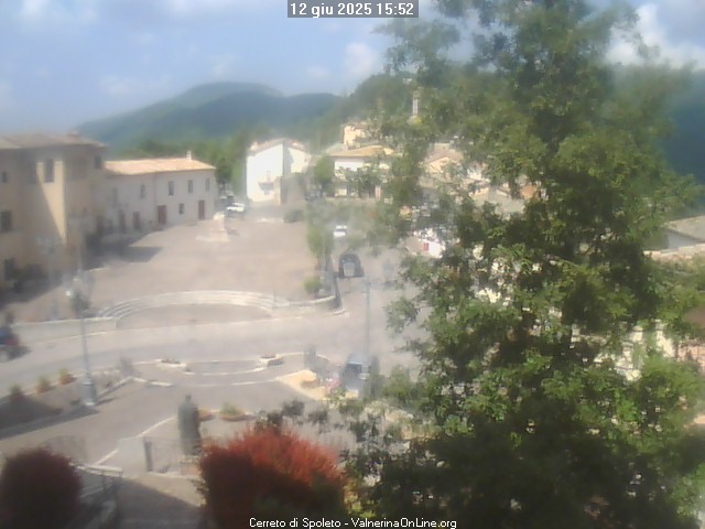 webcam